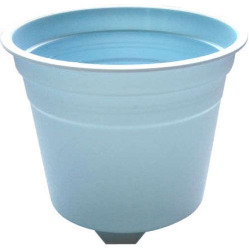 blue mousse cup