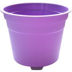 purple mousse cup